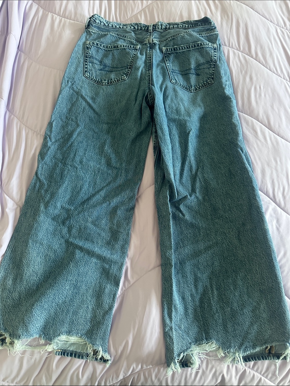 American Eagle Outfitters Wide-Leg Jeans — Baggy - Picture 5 of 5